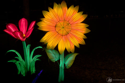 2025 Chinese Lantern Festival