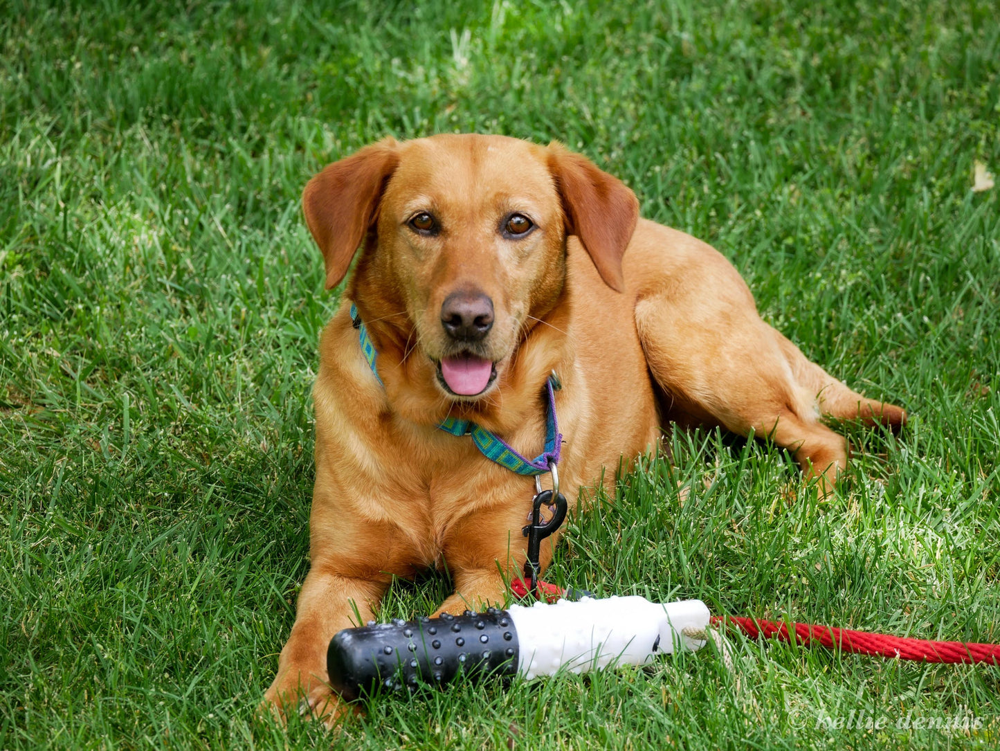 Customized Coasters: 4" x 4" Personalized Photo Coasters for Home Decor & Gifts