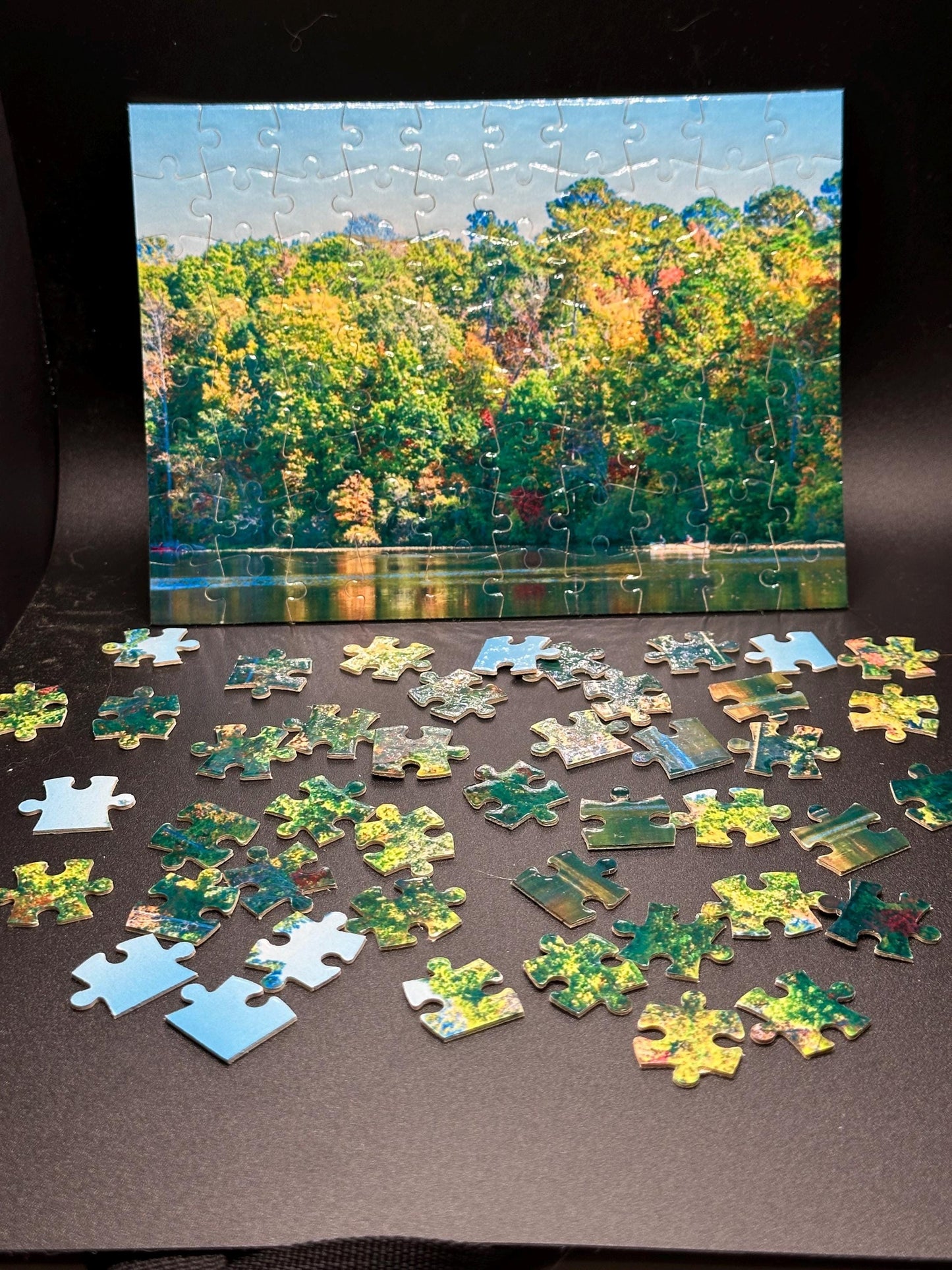 Casts and Colors - Art Puzzle