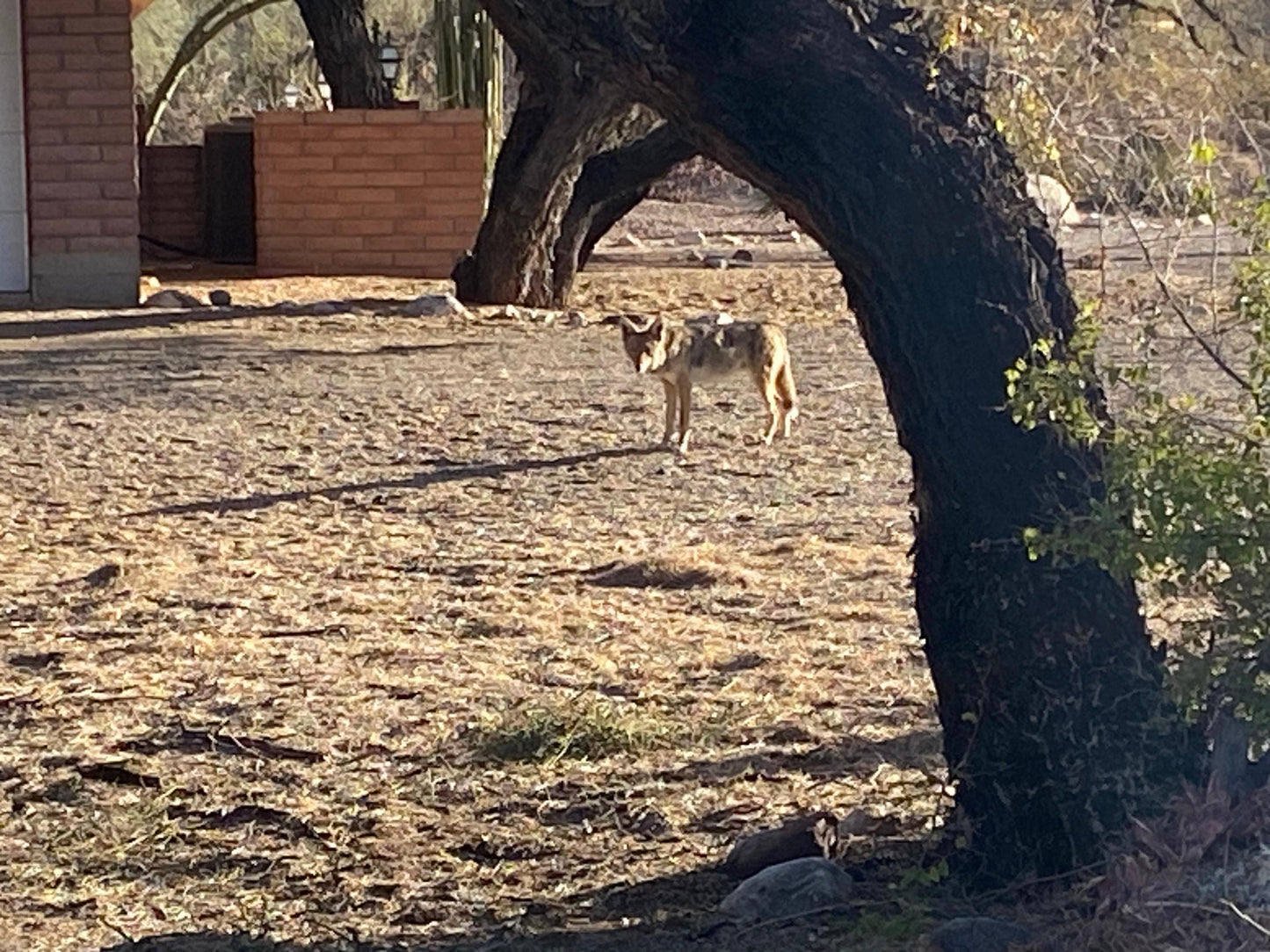 Customized Coasters: 4" x 4" Personalized Photo Coasters for Home Decor & Gifts