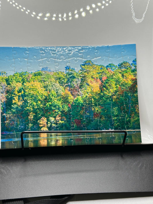 Casts and Colors - Art Puzzle