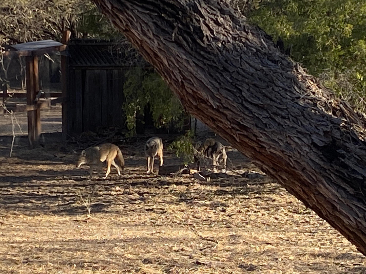 Customized Coasters: 4" x 4" Personalized Photo Coasters for Home Decor & Gifts