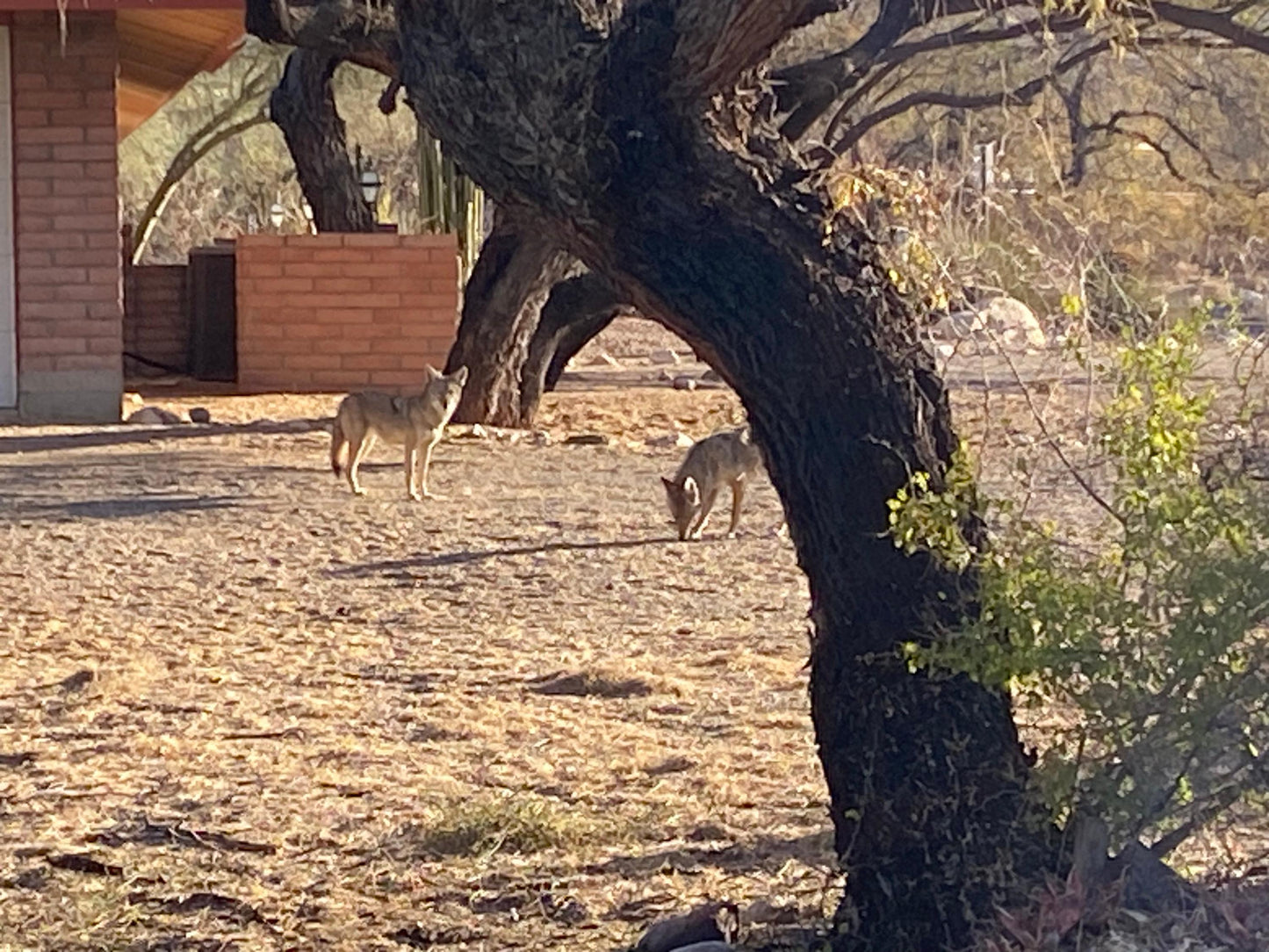 Customized Coasters: 4" x 4" Personalized Photo Coasters for Home Decor & Gifts