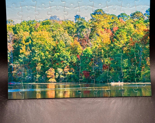 Casts and Colors - Art Puzzle