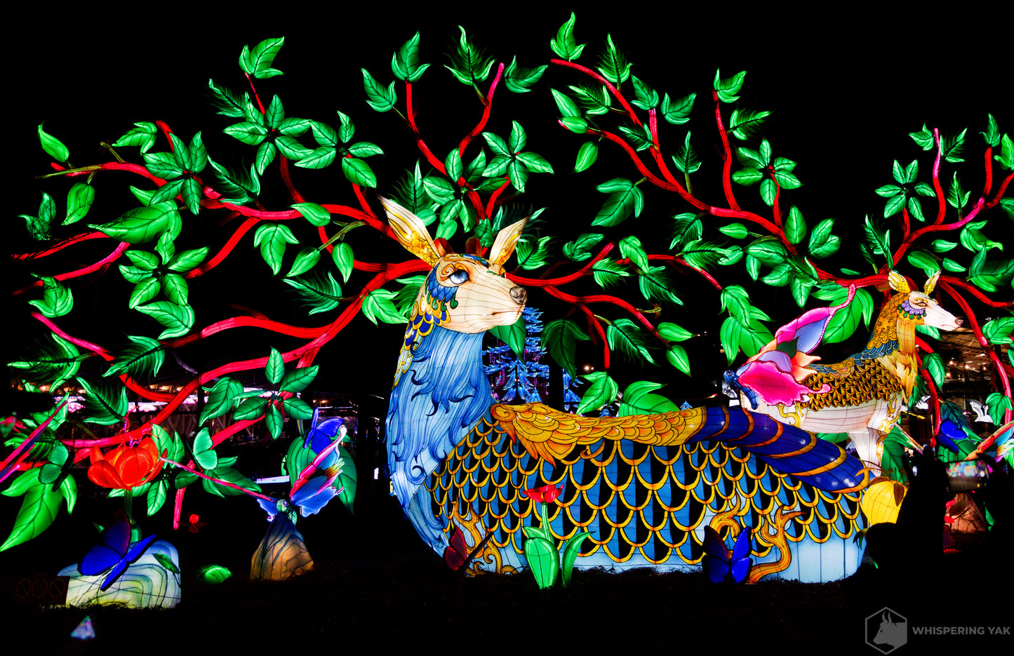 2025 Chinese Lantern Festival