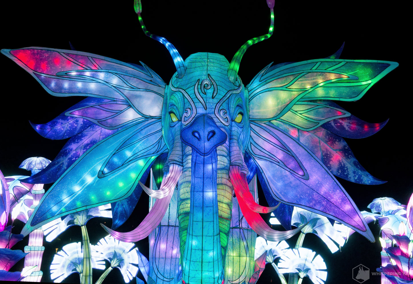 2025 Chinese Lantern Festival