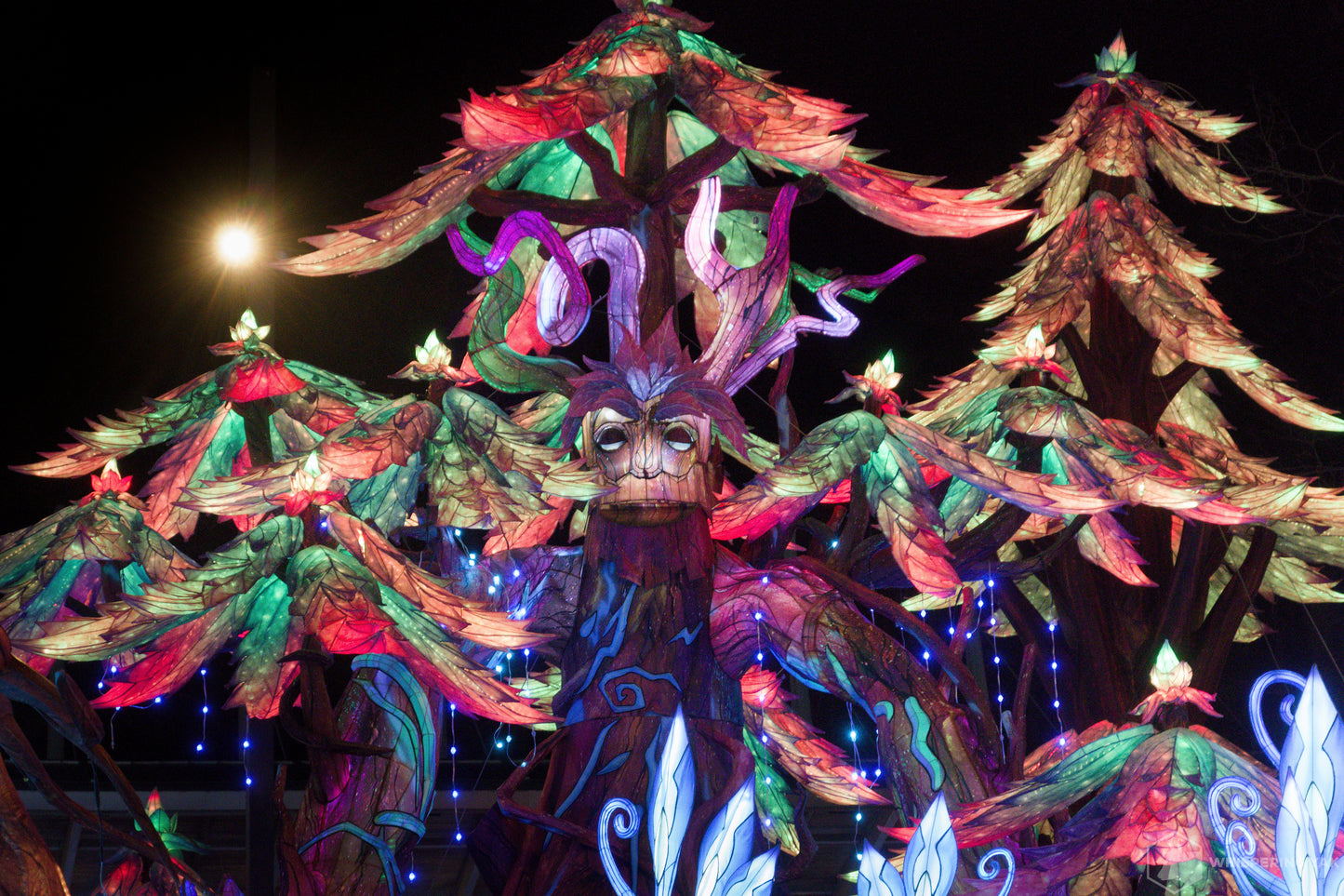 2025 Chinese Lantern Festival