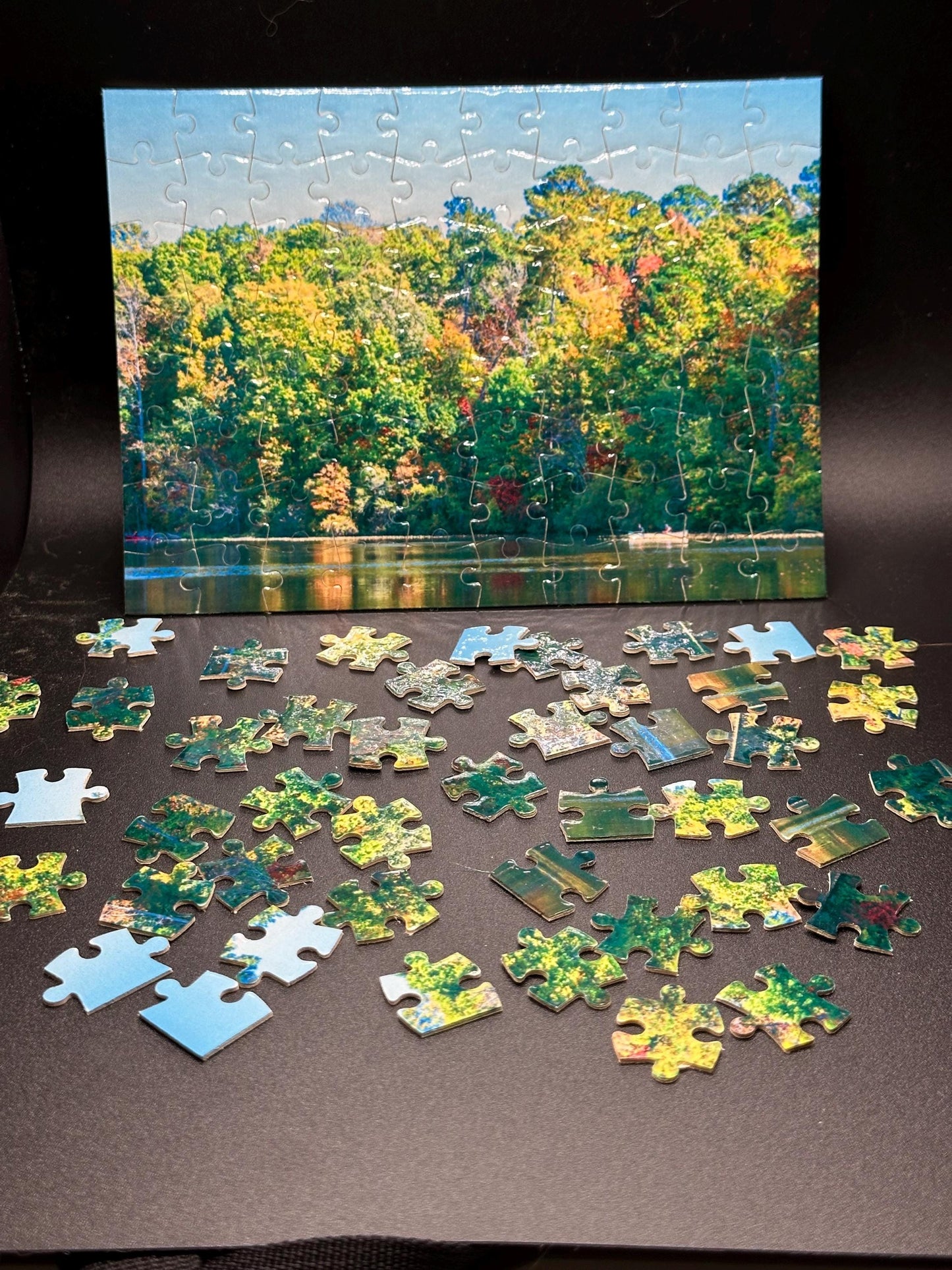 Casts and Colors - Art Puzzle