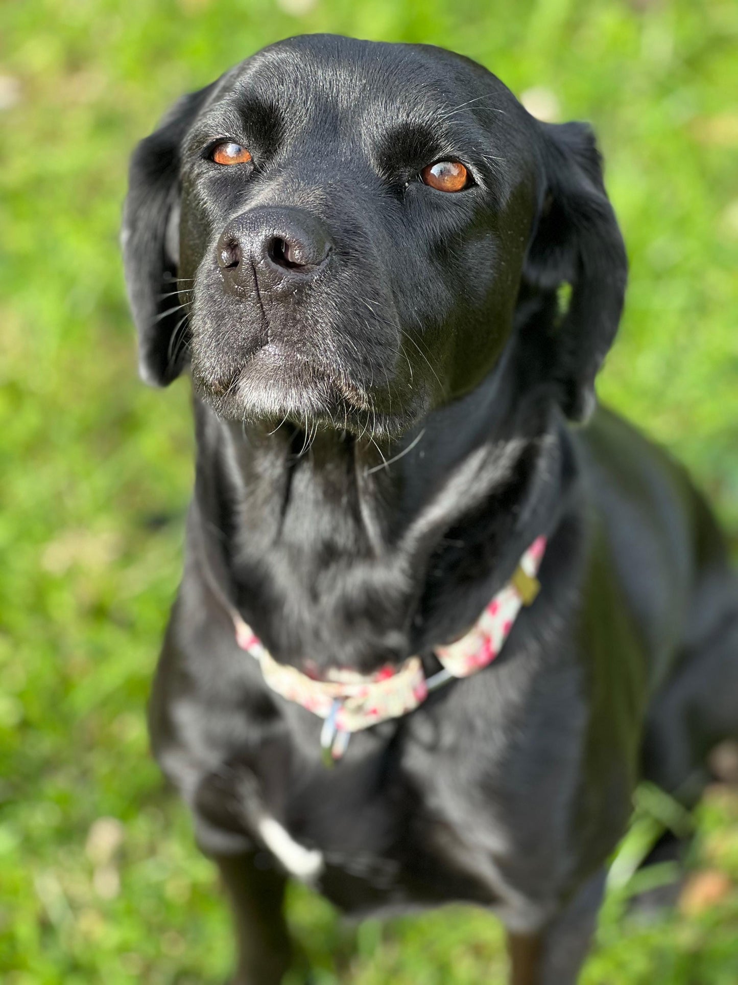 Customized Coasters: 4" x 4" Personalized Photo Coasters for Home Decor & Gifts