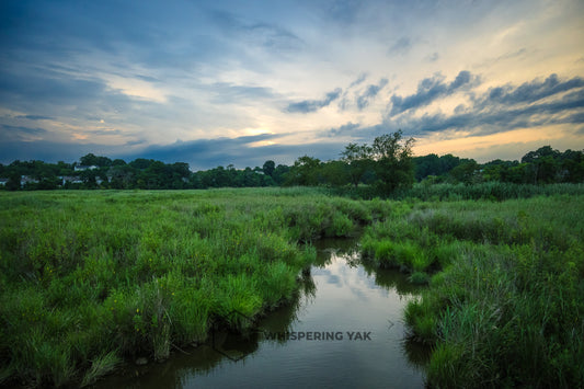 Dawn Over the Marsh – Landscape Photography Print