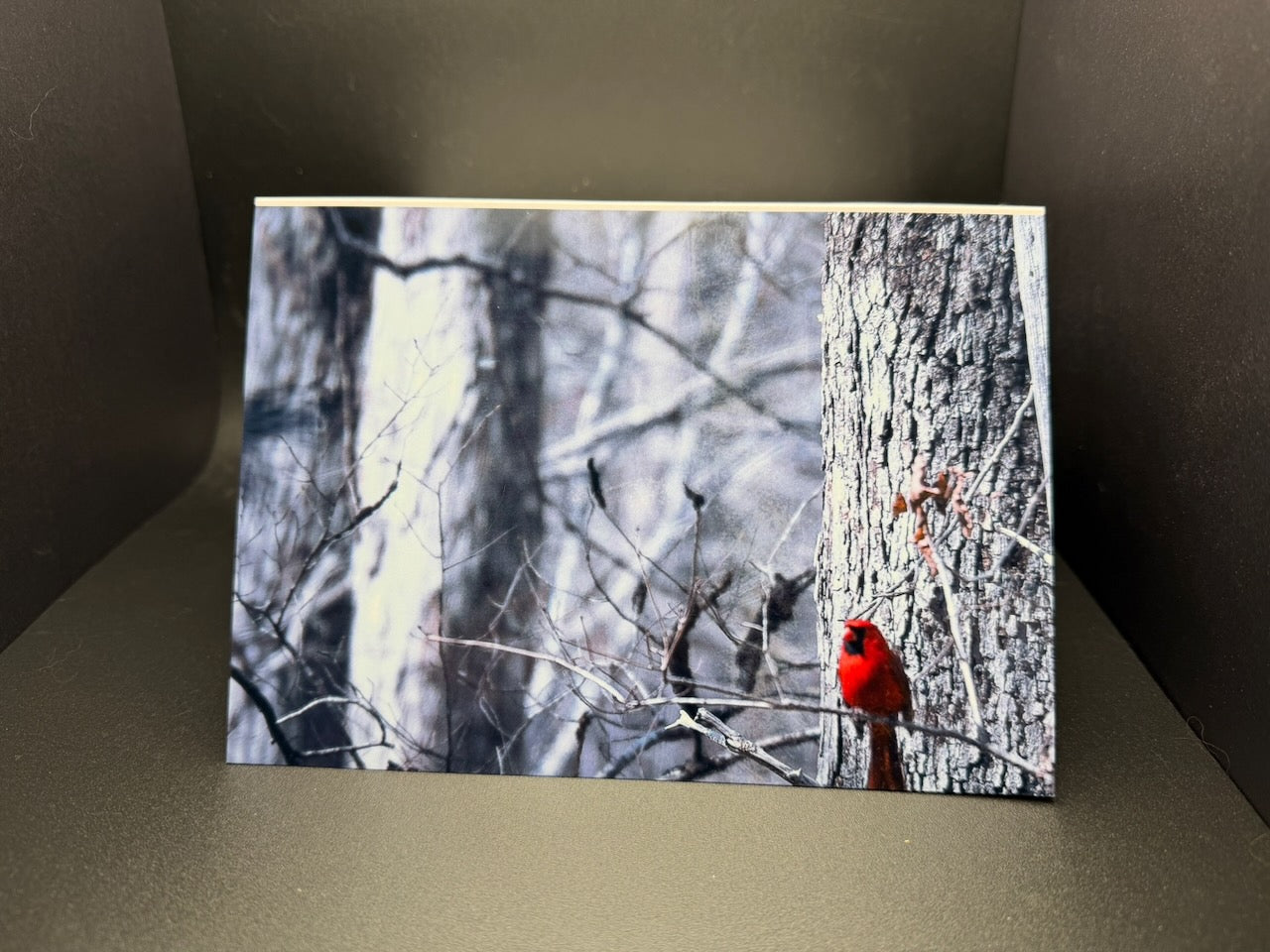 The Cardinal's Promise