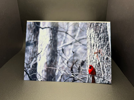 The Cardinal's Promise