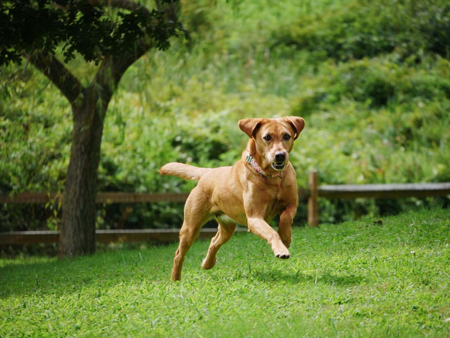 Customized Coasters: 4" x 4" Personalized Photo Coasters for Home Decor & Gifts