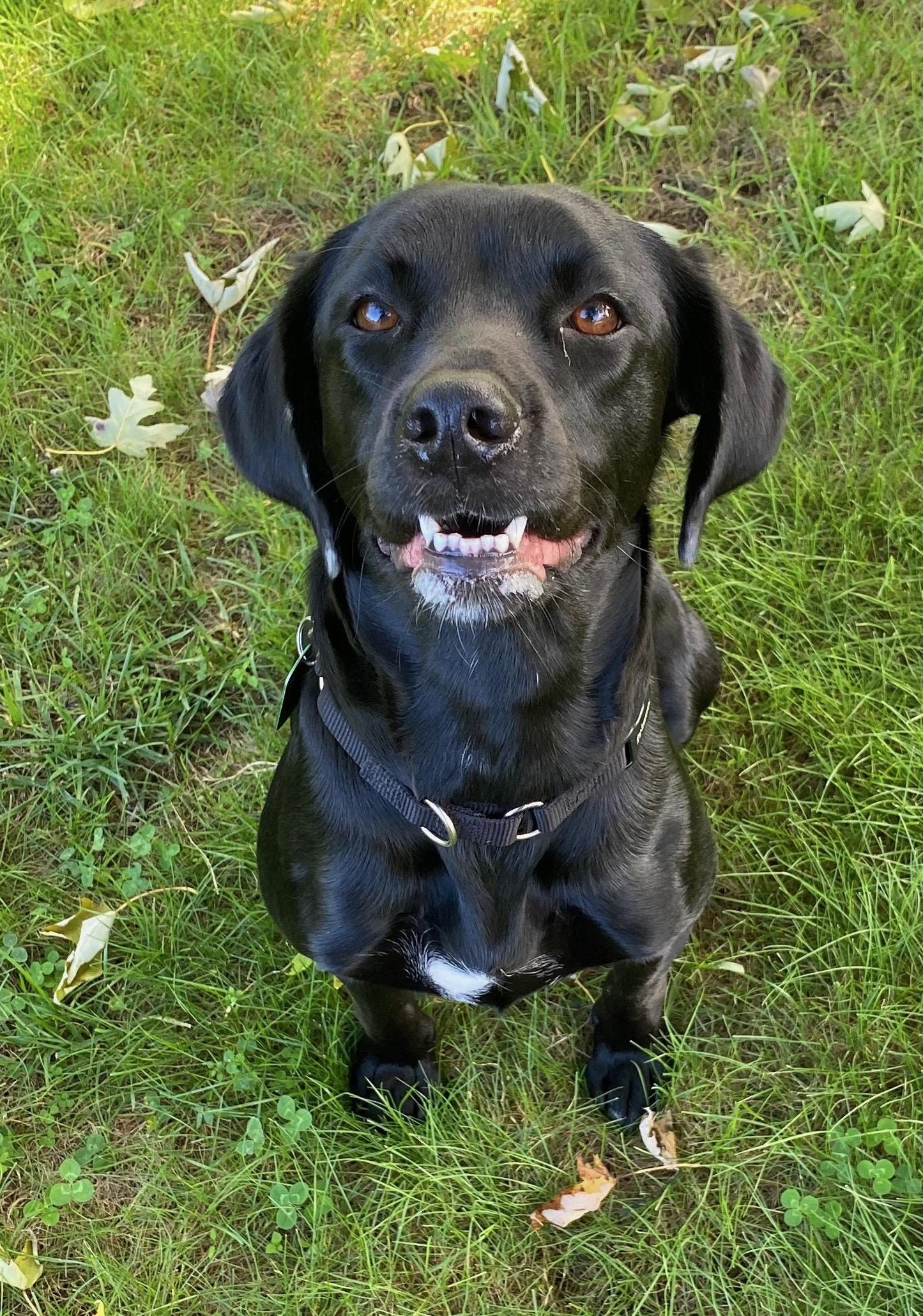 Customized Coasters: 4" x 4" Personalized Photo Coasters for Home Decor & Gifts